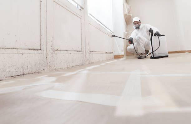 24/7 Emergency Basement Mold Remediation experts in Byron Center, MI
