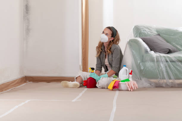 Reliable Basement Mold Remediation contractor in Byron Center, MI by Car Mold Remediation